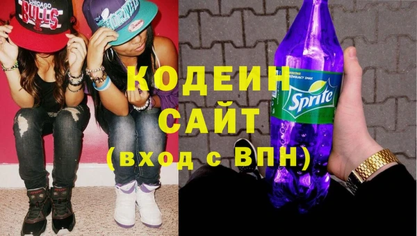 гидра Вяземский