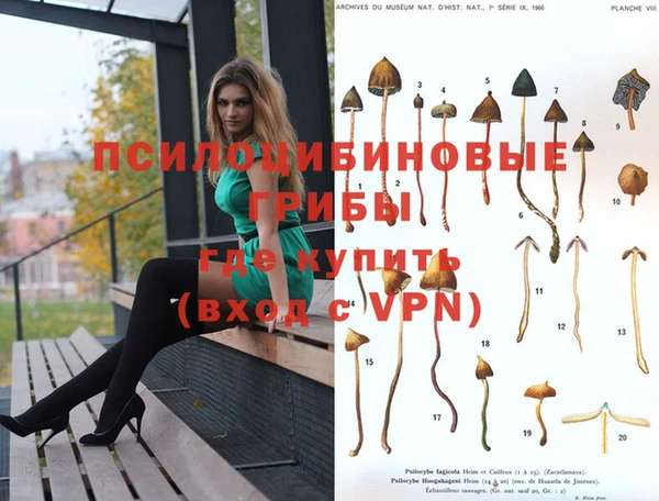 не бодяженный Абдулино