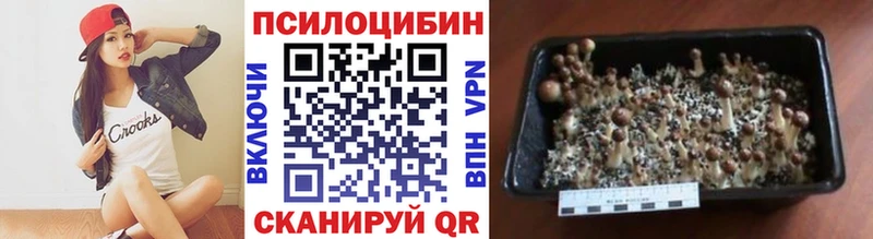 Галлюциногенные грибы MAGIC MUSHROOMS  дарнет шоп  Саратов 